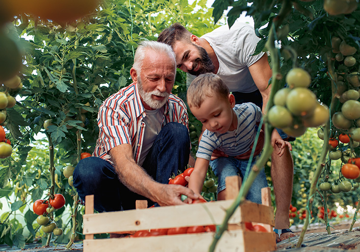 Colorado Farm Insurance